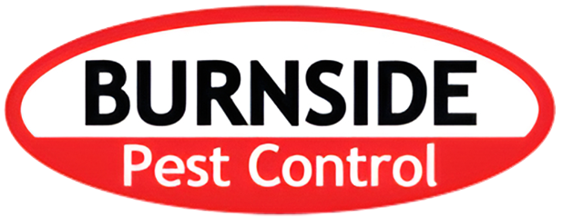 Official Burnside pest control services logo for North Carolina