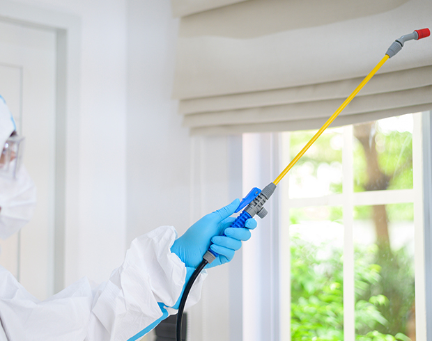 Trusted North Carolina pest control services by Burnside technicians
